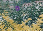 Flora Fauna UUM