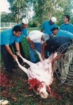 Ibadah Qurban di UUM